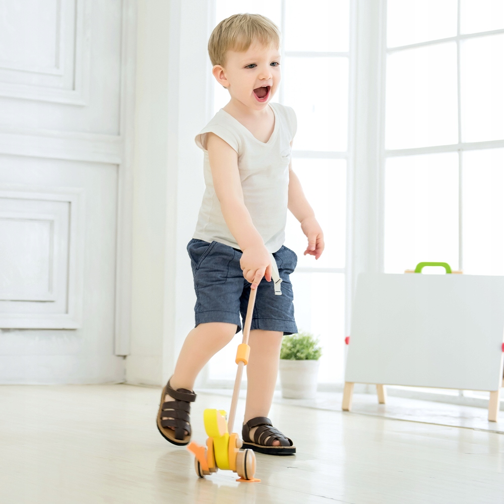 PCHACZ NA KIJU DO PCHANIA KACZUSZKA CLASSIC WORLD Marka Classic World