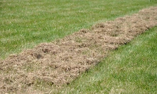 AERATOR RĘCZNY WERTYKULATOR DO NAPOWIETRZANIA TRAWNIKA OBROTOWY WAHADŁOWY Regulacja głębokości roboczej bez regulacji