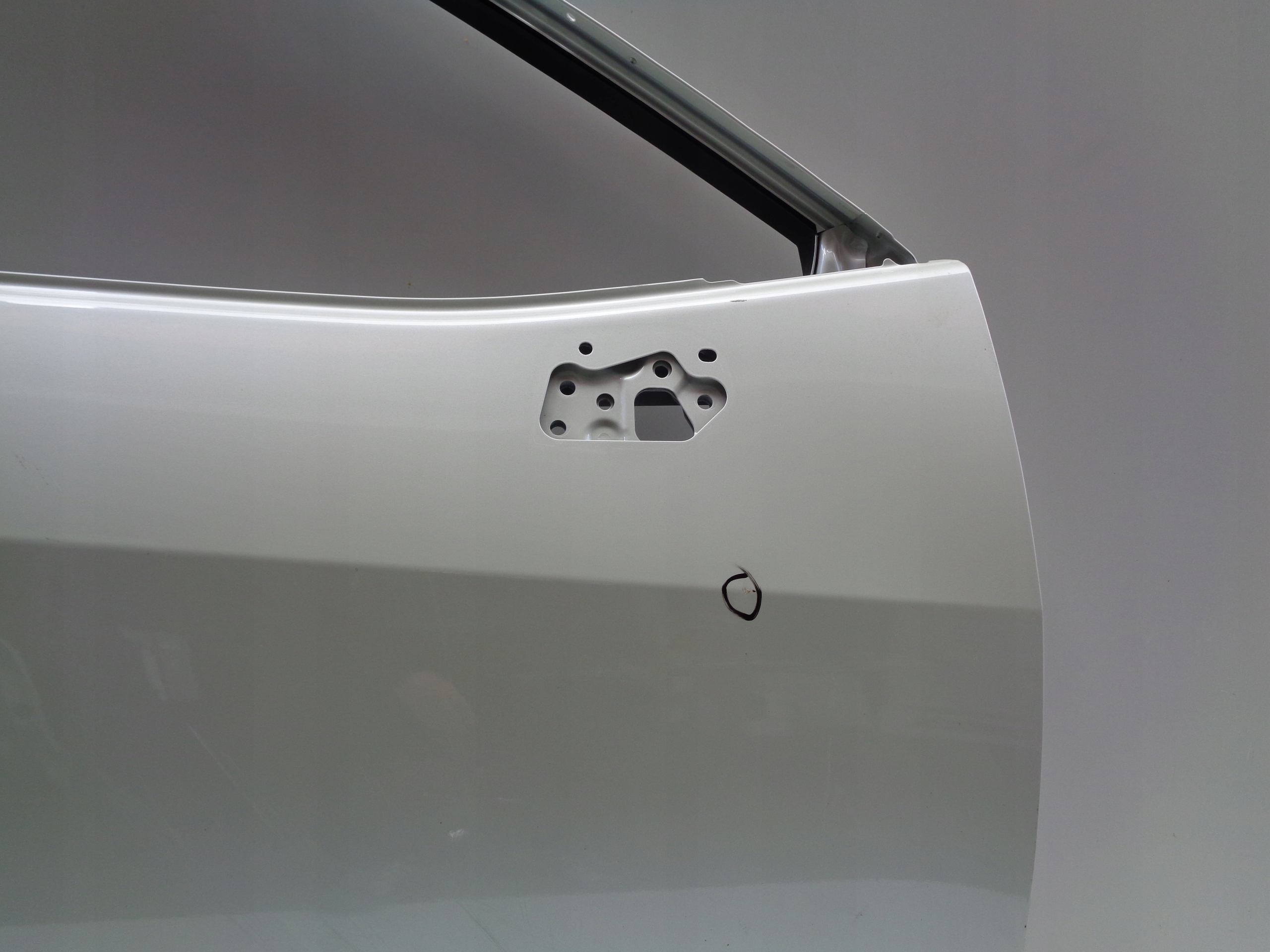 door right front TOYOTA RAV 4 19- NR 46394