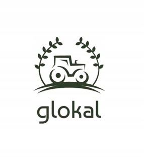 URSUS C-330 C-360 SIEDZENIE DWUCZĘŚCIOWE AMORTYZOWANE WYGODNE Numer katalogowy oryginału 12221080