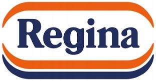 WYDAJNY Ręcznik papierowy Regina Power x 9 sztuk Marka Regina