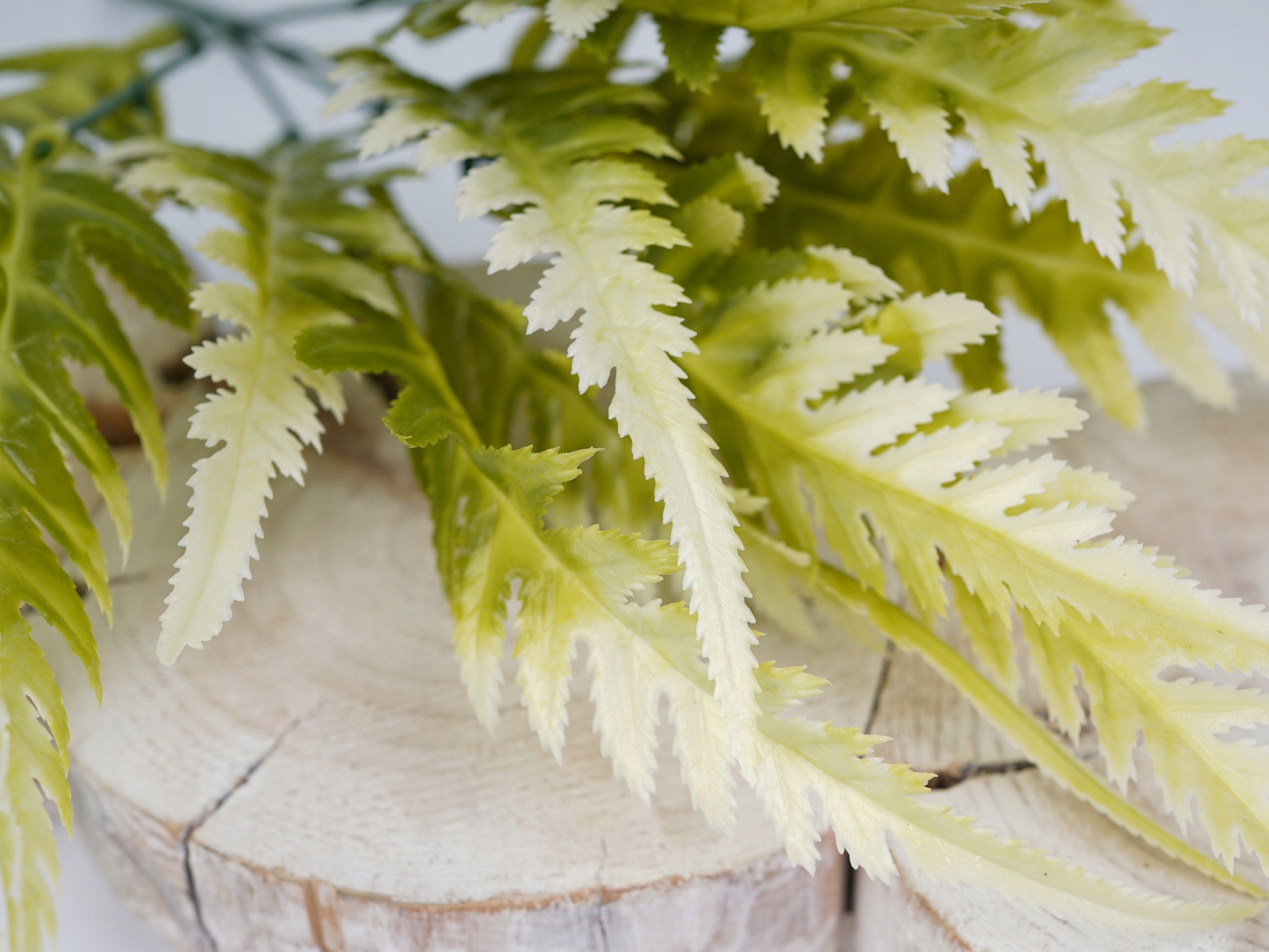 LIŚCIE PAPROCI SZTUCZNA PAPROĆ GAŁĄZKA DODATEK Rodzaj liście