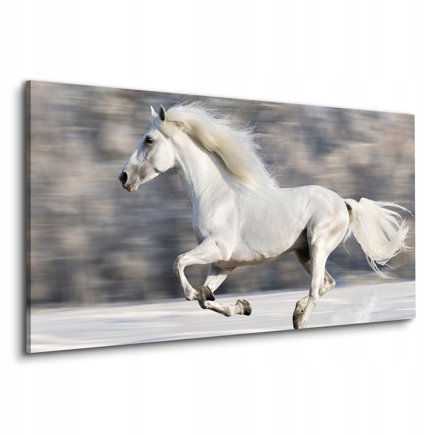 Fotoobraz na plátně 120x60 Bílý kůň cval zima