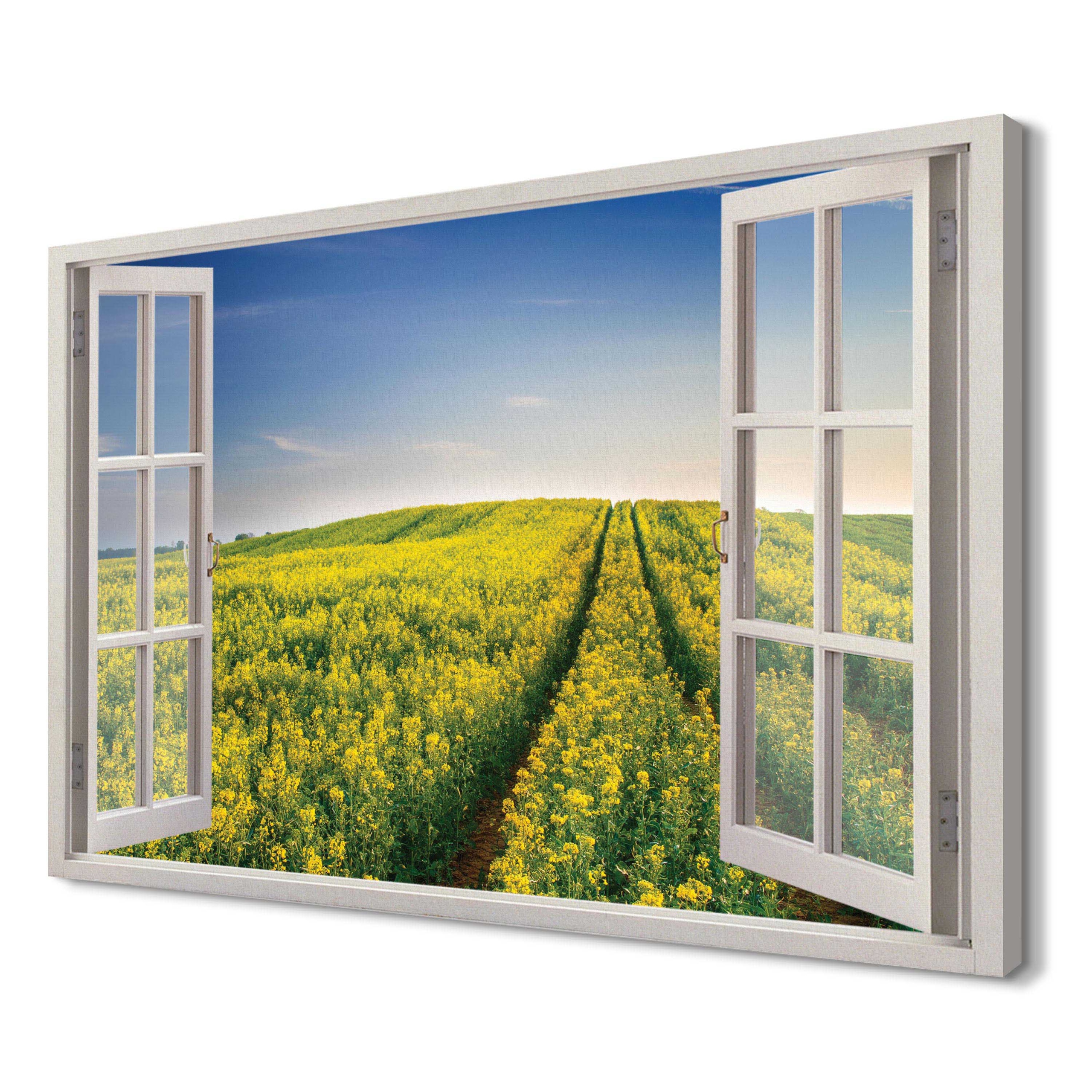 

Pola rzepaku Canvas 3d 120x80 na prezent do kuchni