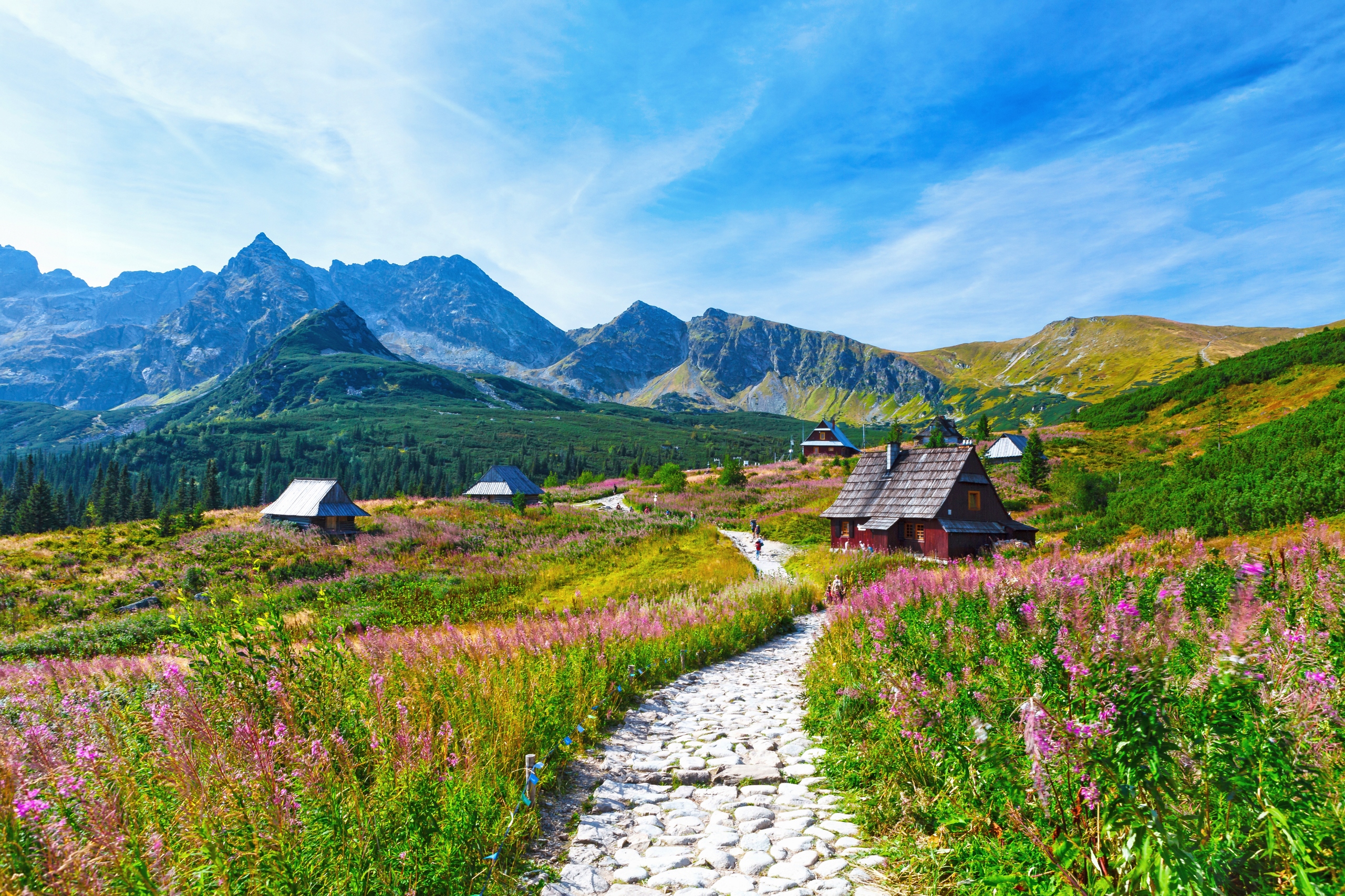 

Plakat Góry Tatry Hala Gąsienicowa 100x70