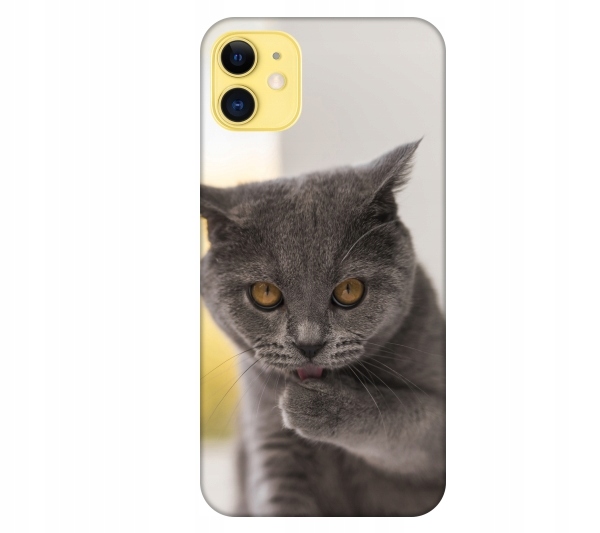 

Etui pokrowiec do iPhone 11 Kot kotek smieszne zwi