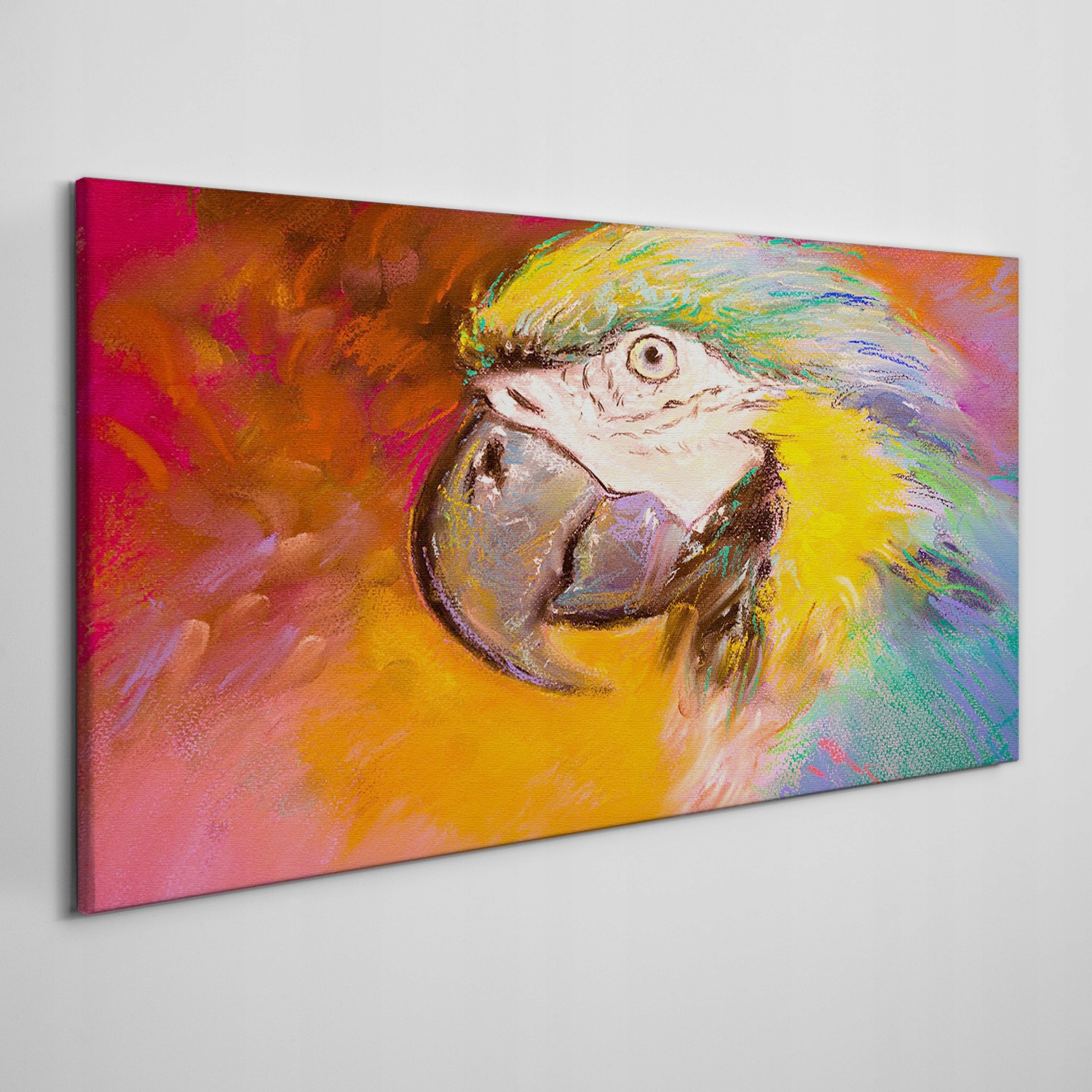 

Obraz ścienny na płótnie Zwierzę papuga 140x70 cm