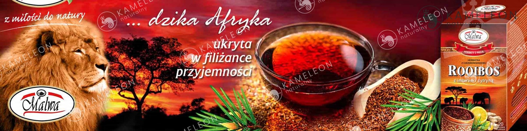 dd8d80a24f67bb1a7cb5c1cf5794