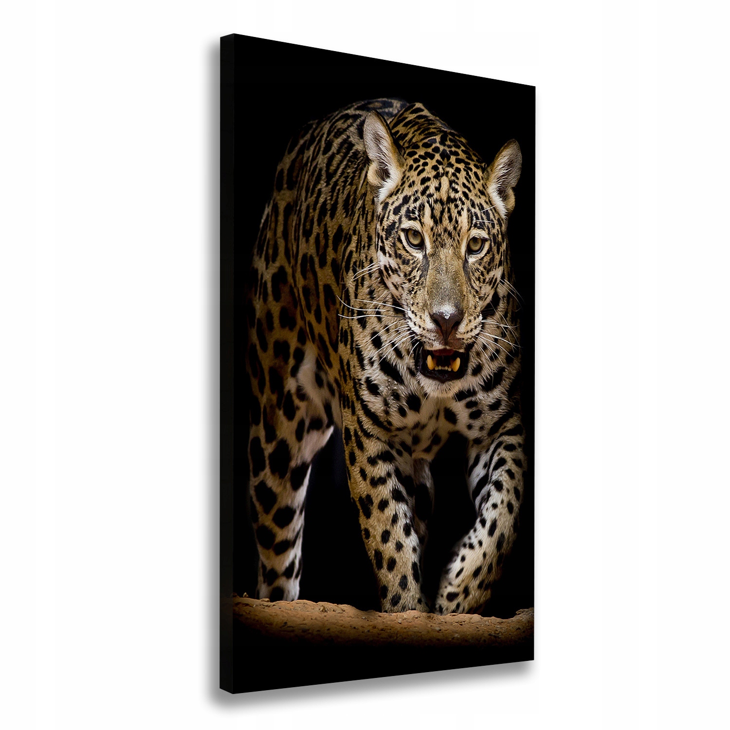 

Nowoczesny fotoobraz canvas na ramie Jaguar 70x140