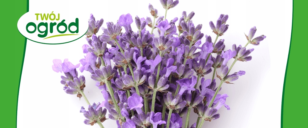 NAWÓZ DO KWIATÓW ROŚLIN KWITNĄCYCH 100G Waga 0.1 kg