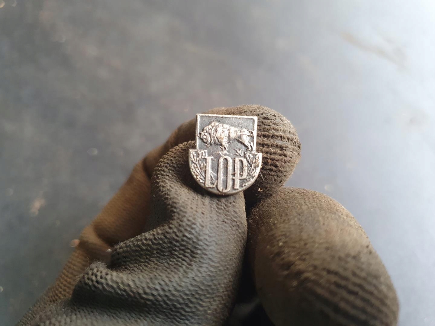 PRZYPINKA ODZNAKA LOP LIGA OCHRONY PRZYRODY ORYGINAŁ PRL