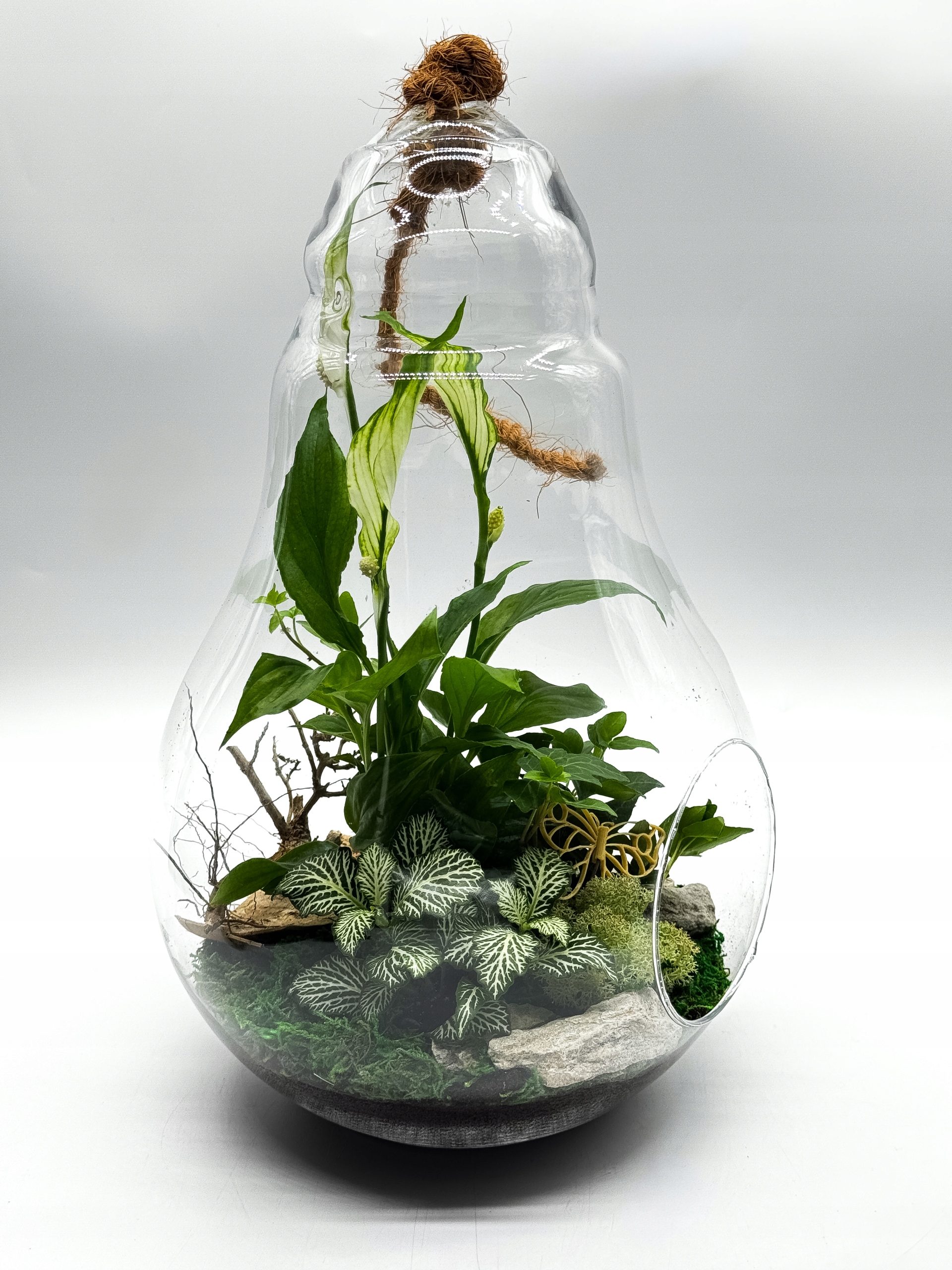 Les ve skle Velká žárovka XXL Hotová kompozice Ideální jako dárek