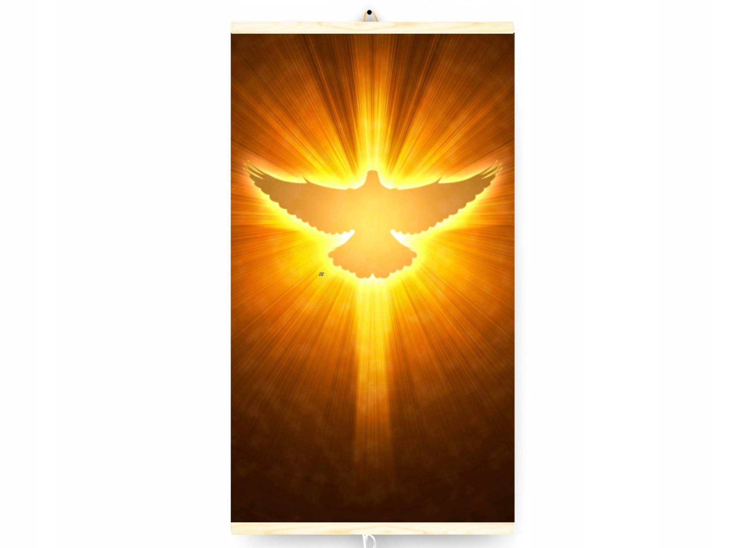 Efektívny infračervený ohrievač Trio Standard 430W 60x100 cm Duch Svätý