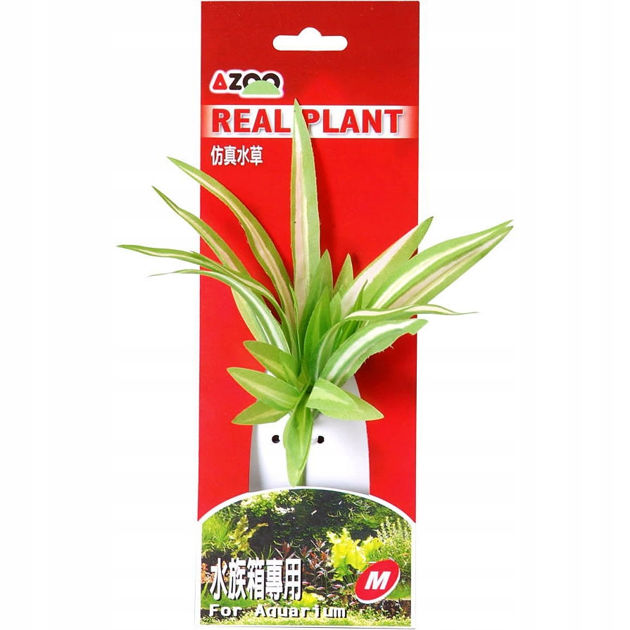 

Azoo Real Plant Single Chloropythum M 16cm Ozdoba
