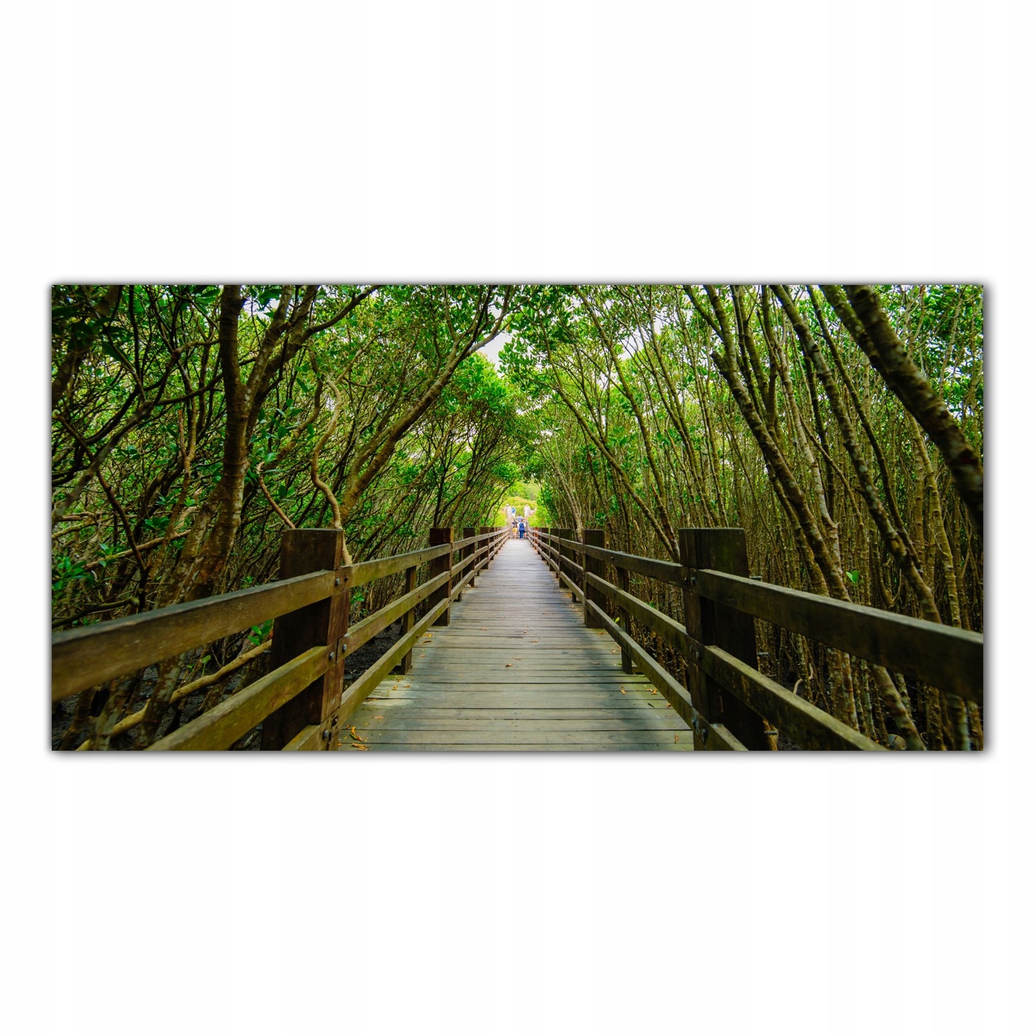 Most Les Stromy 100x50 Tvrzené sklo do kuchyně