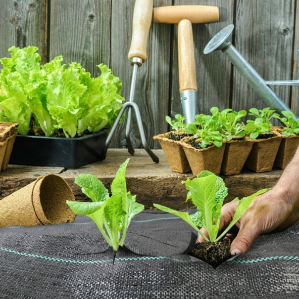 AGROTKANINA AGROWŁÓKNINA 1,1 X 50 M NA CHWASTY UV 3% MOCNA + SZPILKI Kod producenta SDH181