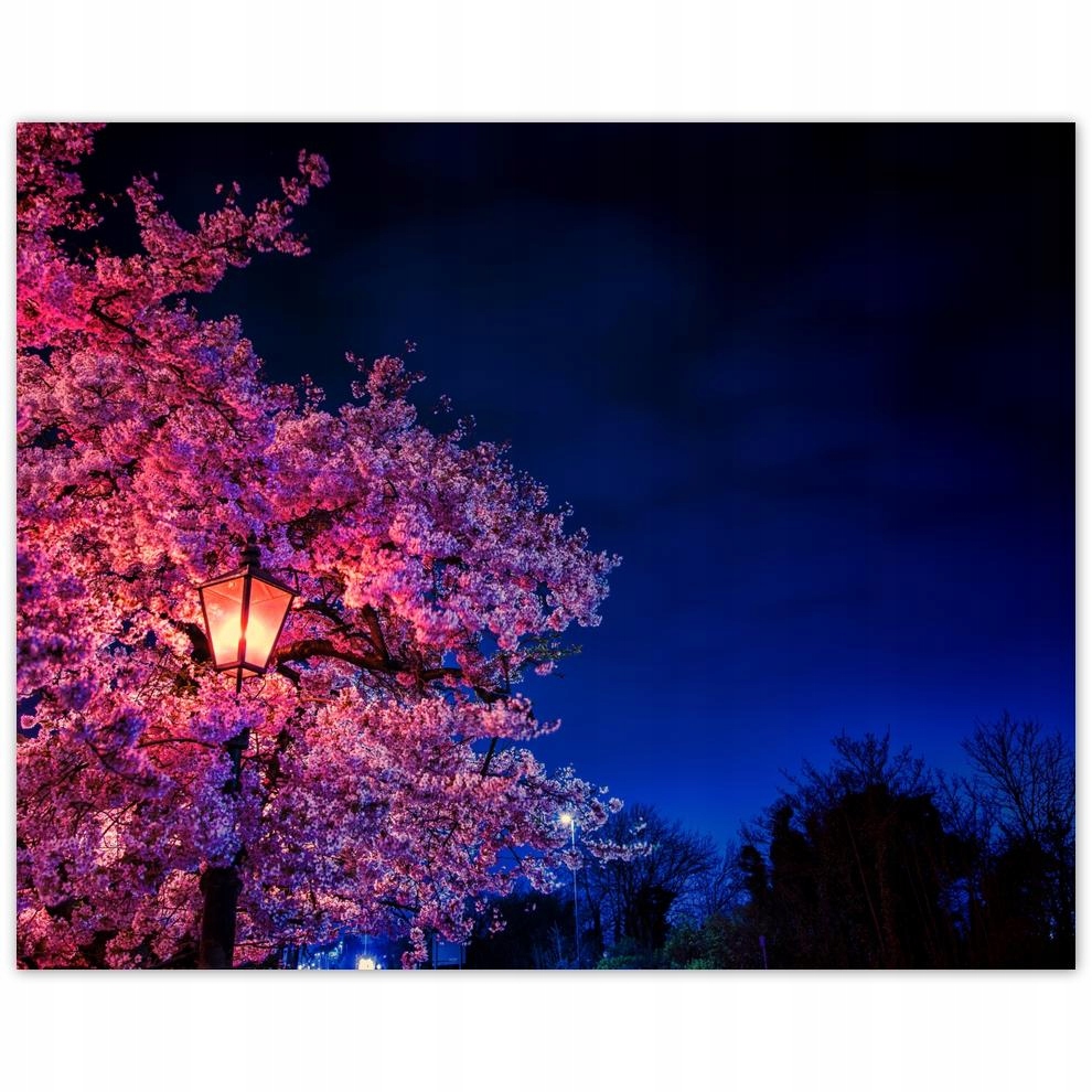 

Plakat 50x40 Motyw do sypialni Lampa