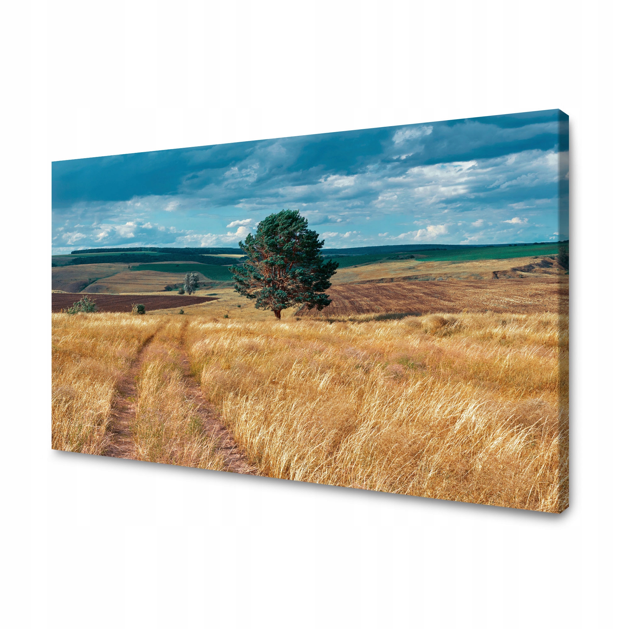 Obraz na plátně Pole Obilí Příroda Mraky Krajina 120x70 cm