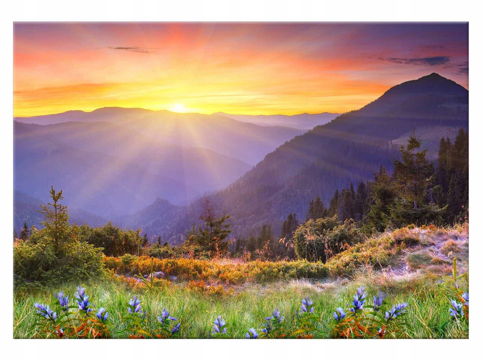 

Obraz Łąka w górach 100x70 Łąka 1868B_1Z do salonu