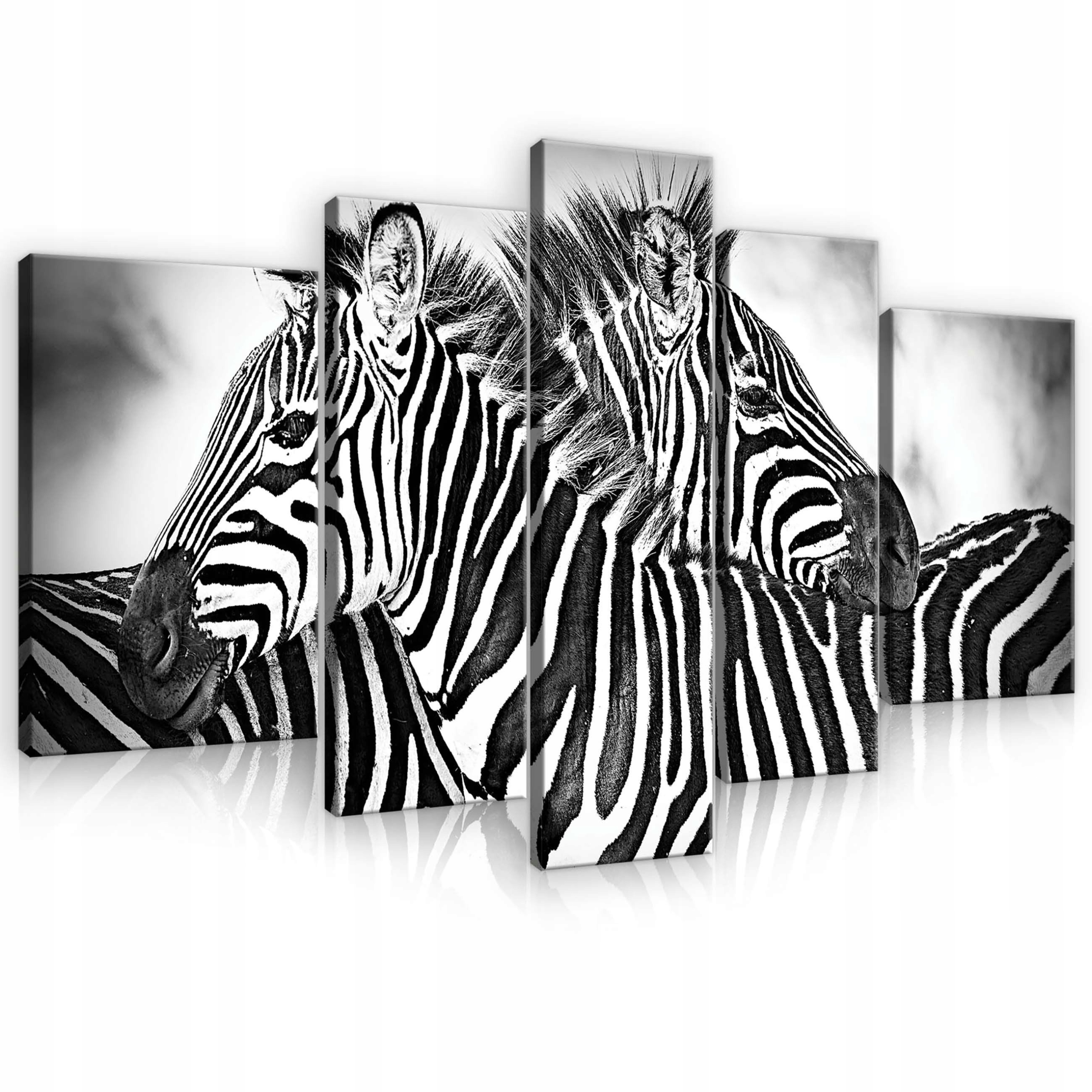 Obraz 170x100 Zebra pruhy Afrika divoká příroda černá bílá příroda