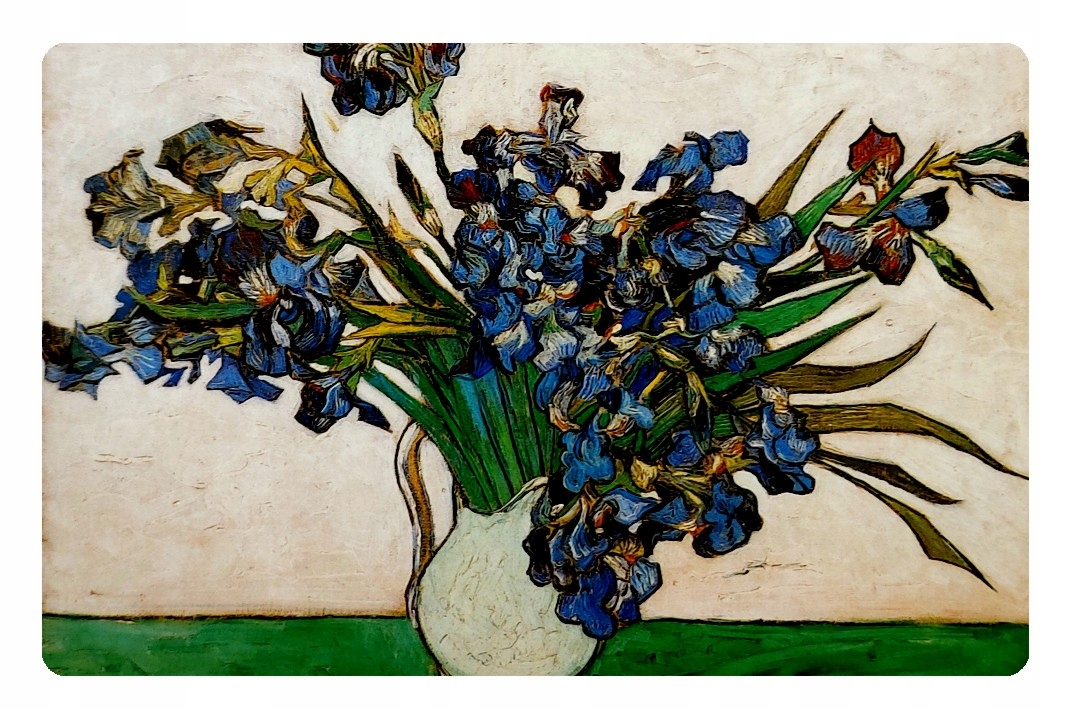 

Magnes Vincent Van Gogh irysy