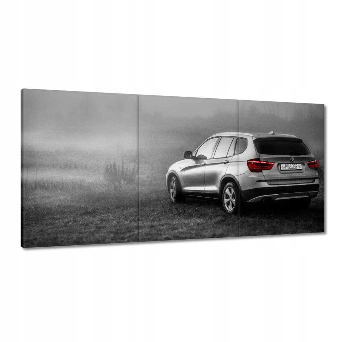 Obrazy 120x60 Auto Bmw X3