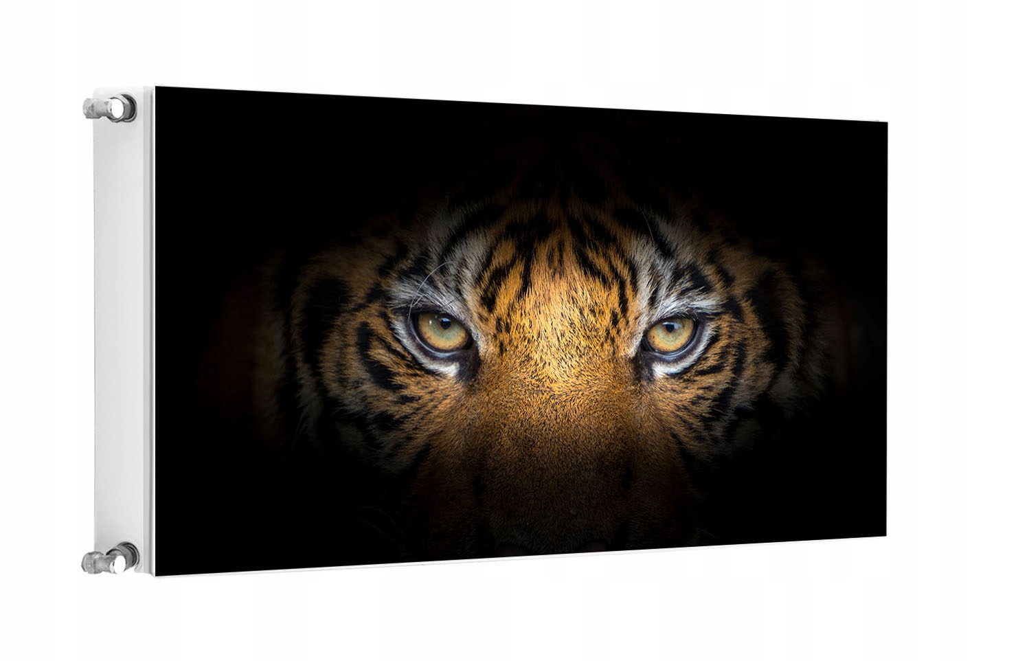 Magnet Magnetická Podložka Na Radiátor 100x60 Tygr Fototapeta