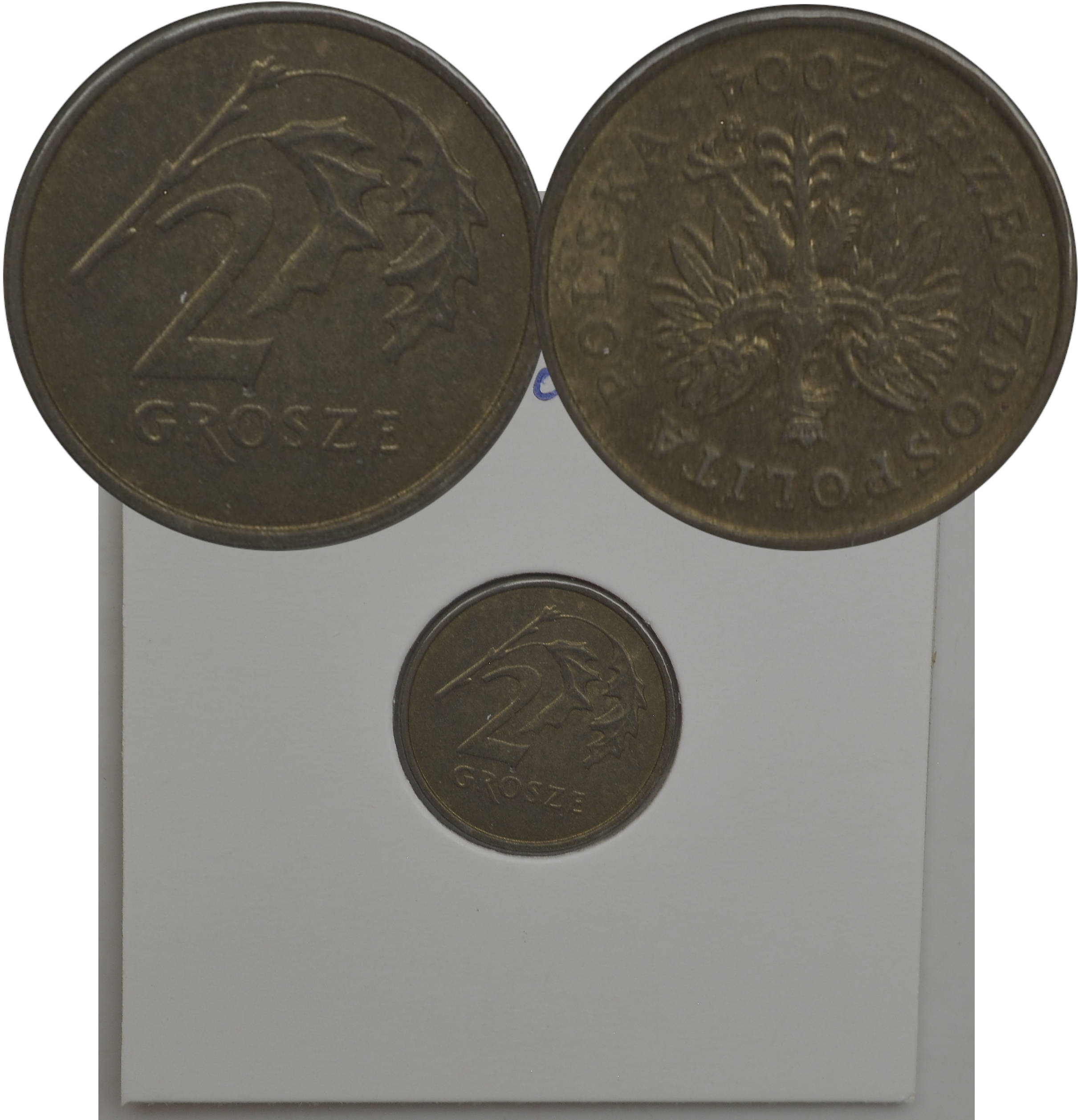 3.fy.III RP, 2 GROSZE 2004 odwrotka