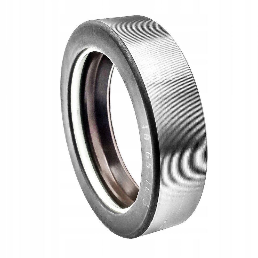 Simmering 48x65x16,5 COMBI SF6 DMHUI 1603023 Producent części Inny