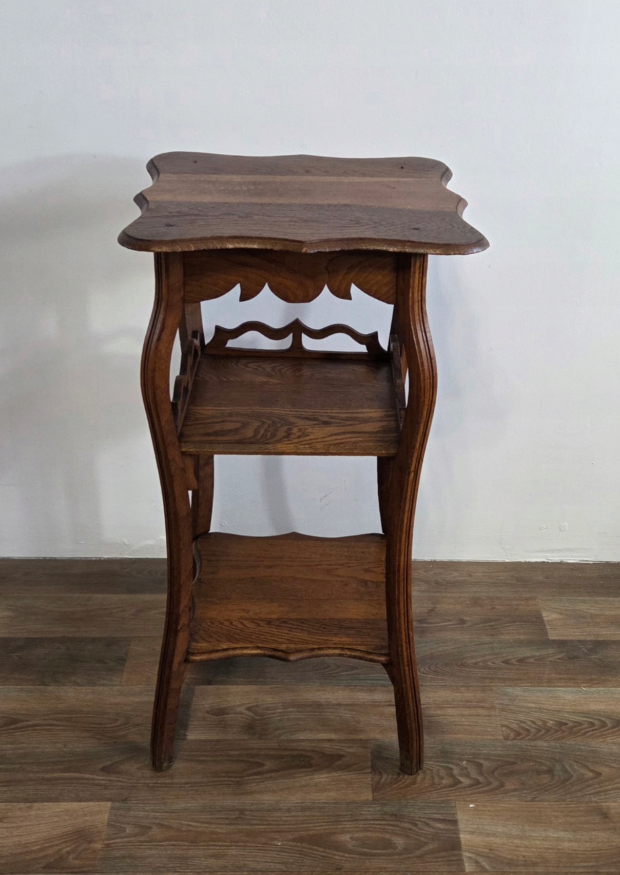 Wysoki masywny kwietnik dębowy; 0116