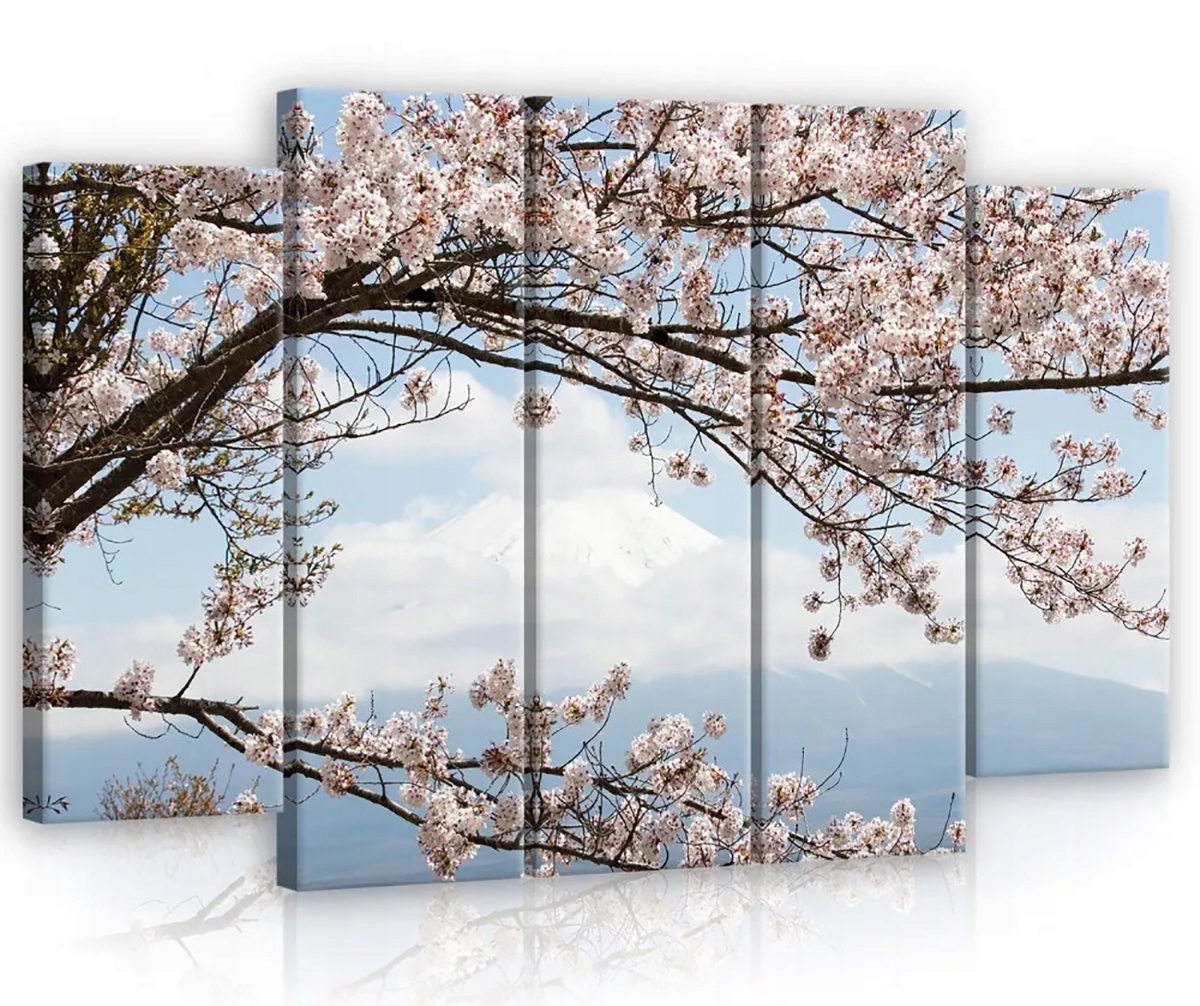 Obraz Na Plátne Canvas 150x100 Hora Fuji Čerešňa