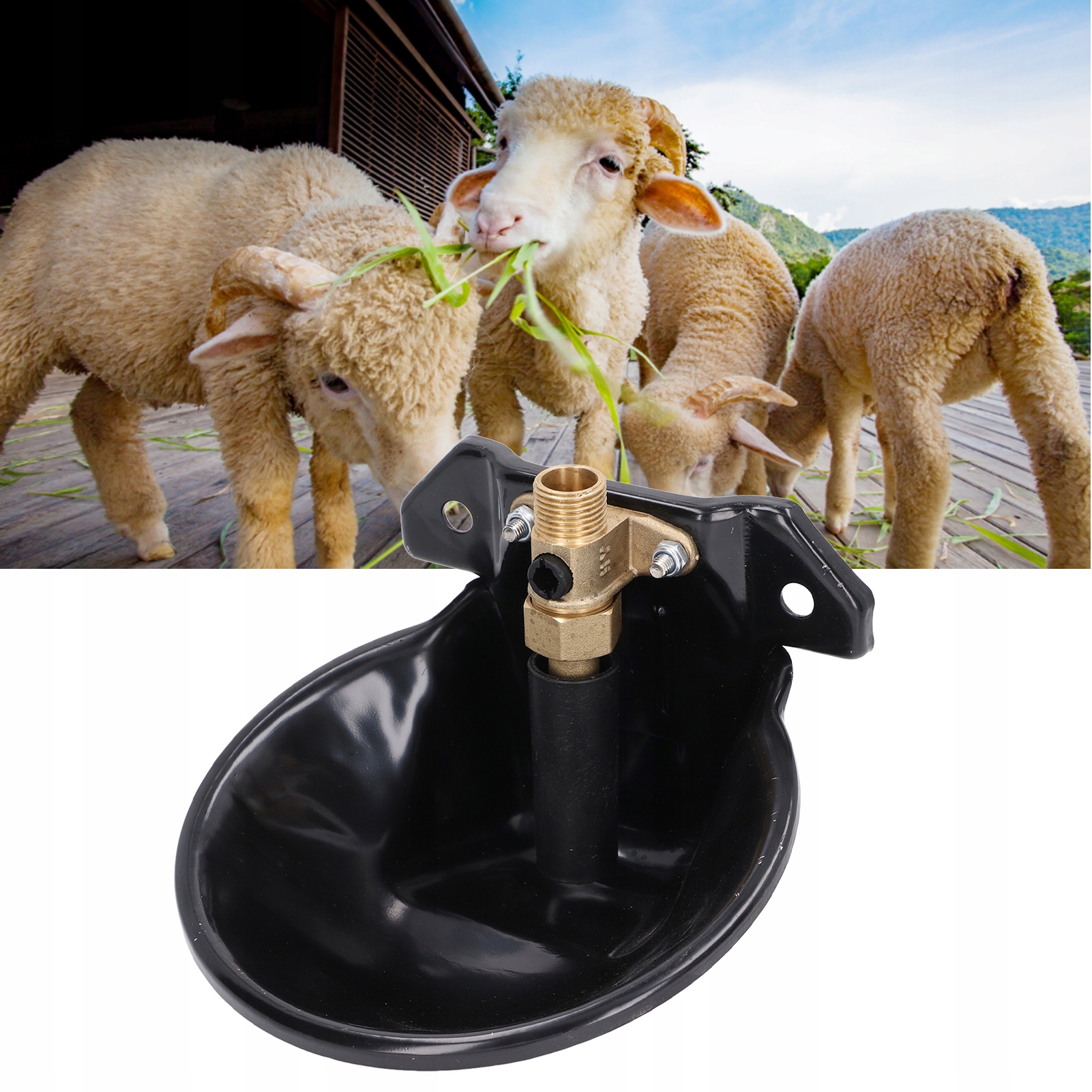 POIDŁO MISKOWE ŻELIWNE DLA OWIEC 18 CM Marka inny