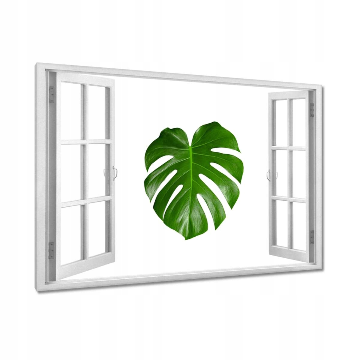 Obrazy 120x80 Monstera děravé listy