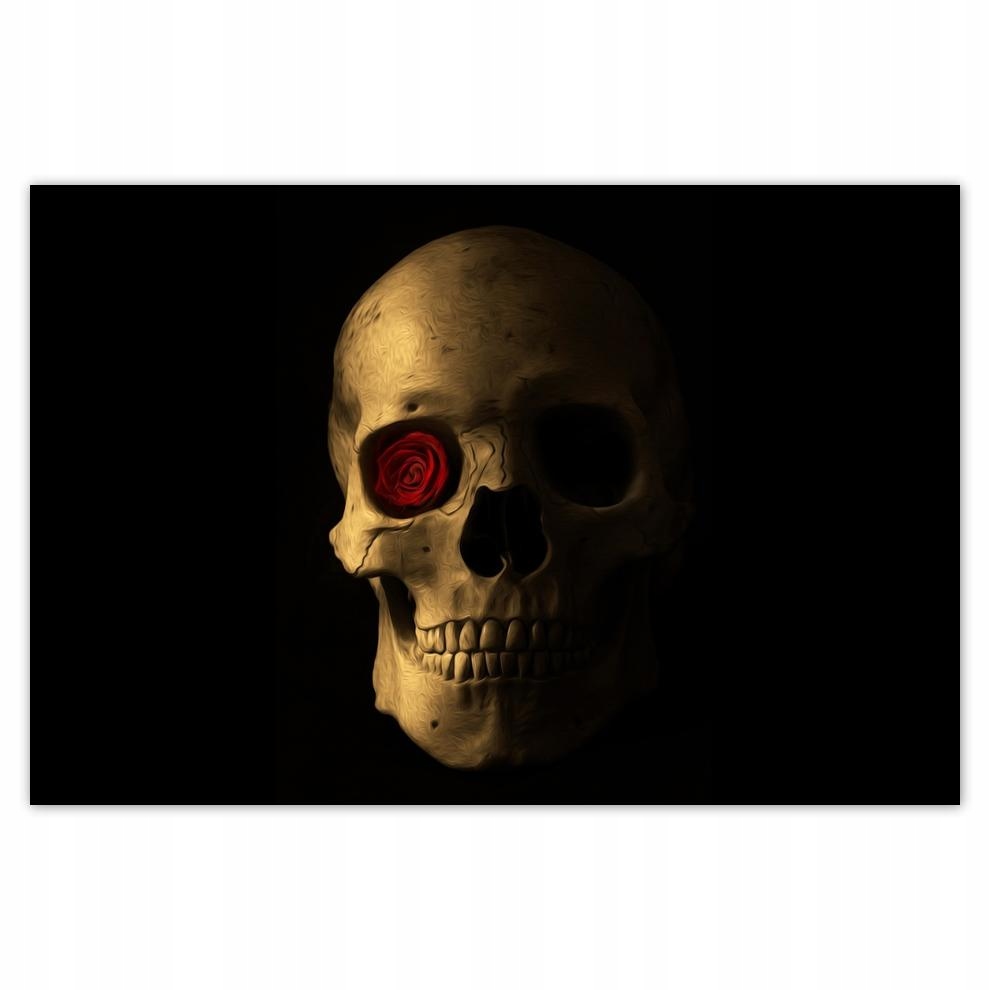 

Plakaty 60x40 Czaszka z różą