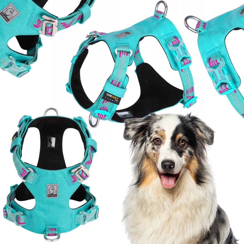 Levně Postroj Pro Psa Voděodolný, Lehký Truelove Adventure Dog Modrý