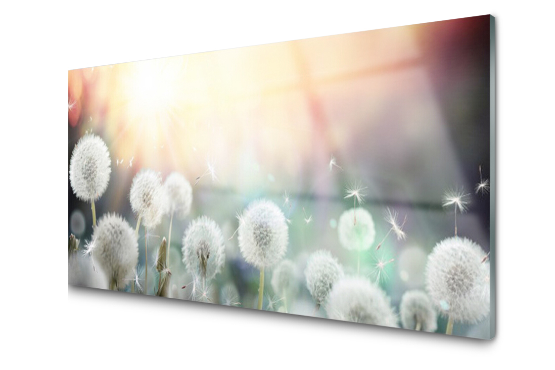 

Panel szklany Płytka Dmuchawce Kwiaty 100x50