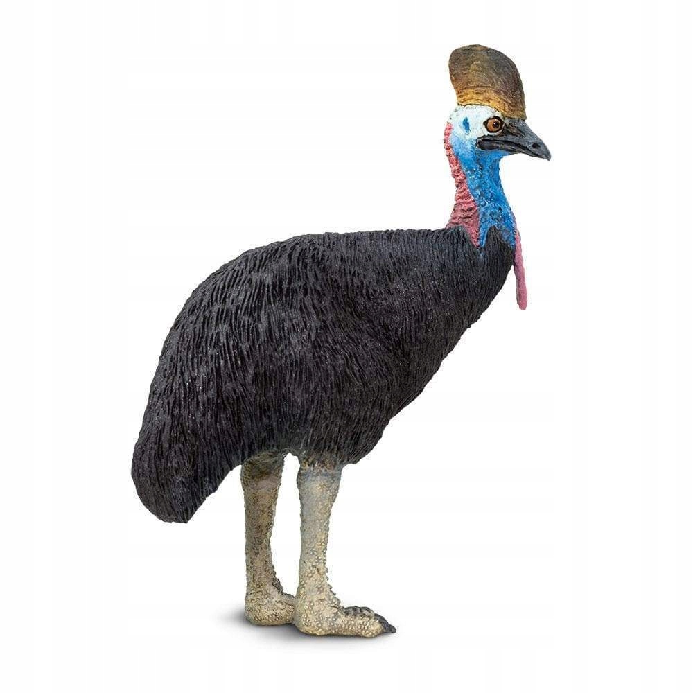 

Kazuar Hełmiasty Cassowary Safari Ltd. 225429