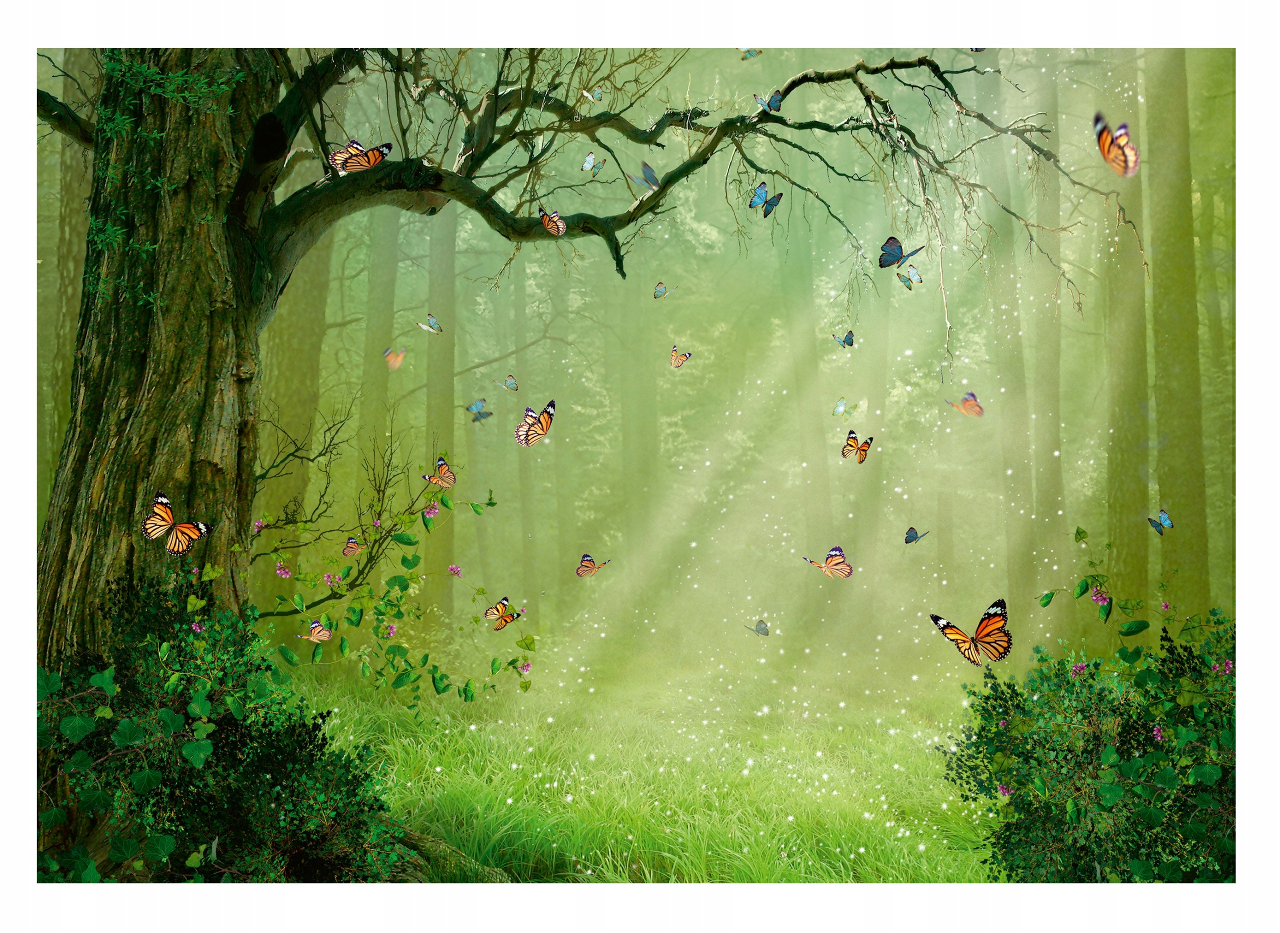 Fototapeta Pro Děti Kouzelný les Motýli 312x219