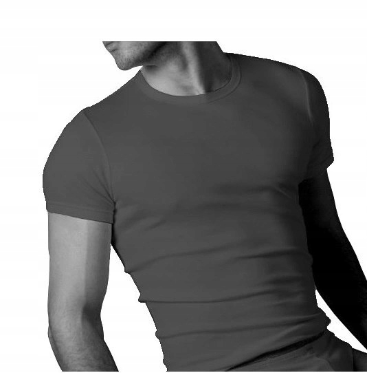 

T-shirt Embajador By Atlantic ECV048 XL Szary