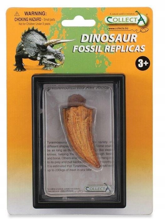 

Ząb Tyranozaurus Red