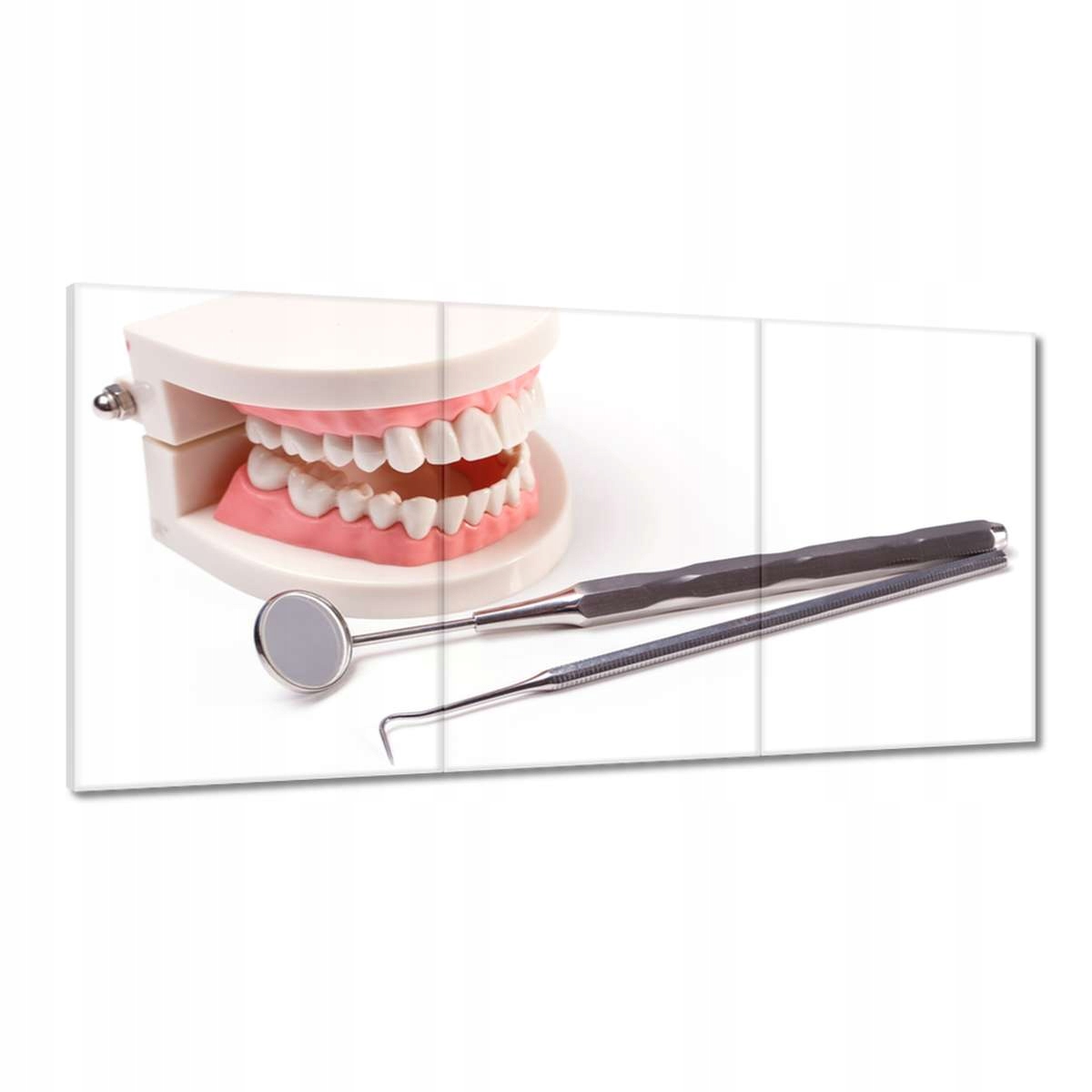 Obrazy 180x90 Čelist se zrcadlem