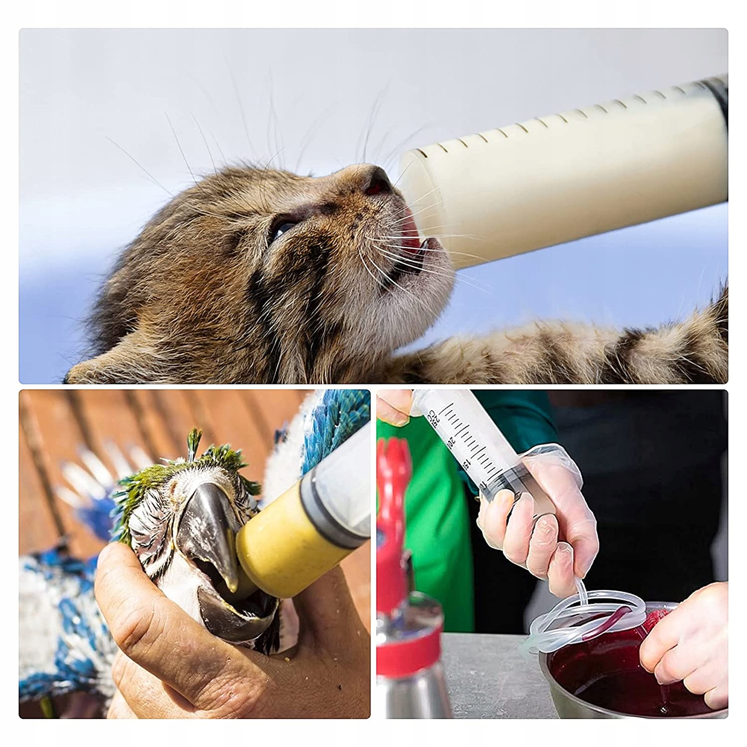 STRZYKAWKA ODSYSARKA OLEJU PŁYNU 500 ML Z 1M WĄŻ Marka inna