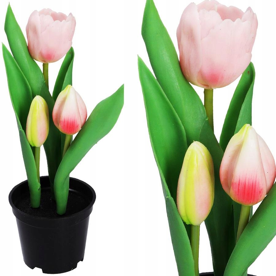 

Tulipany Bukiet Tulipanów Gumowane Gumowe Jak Żywe