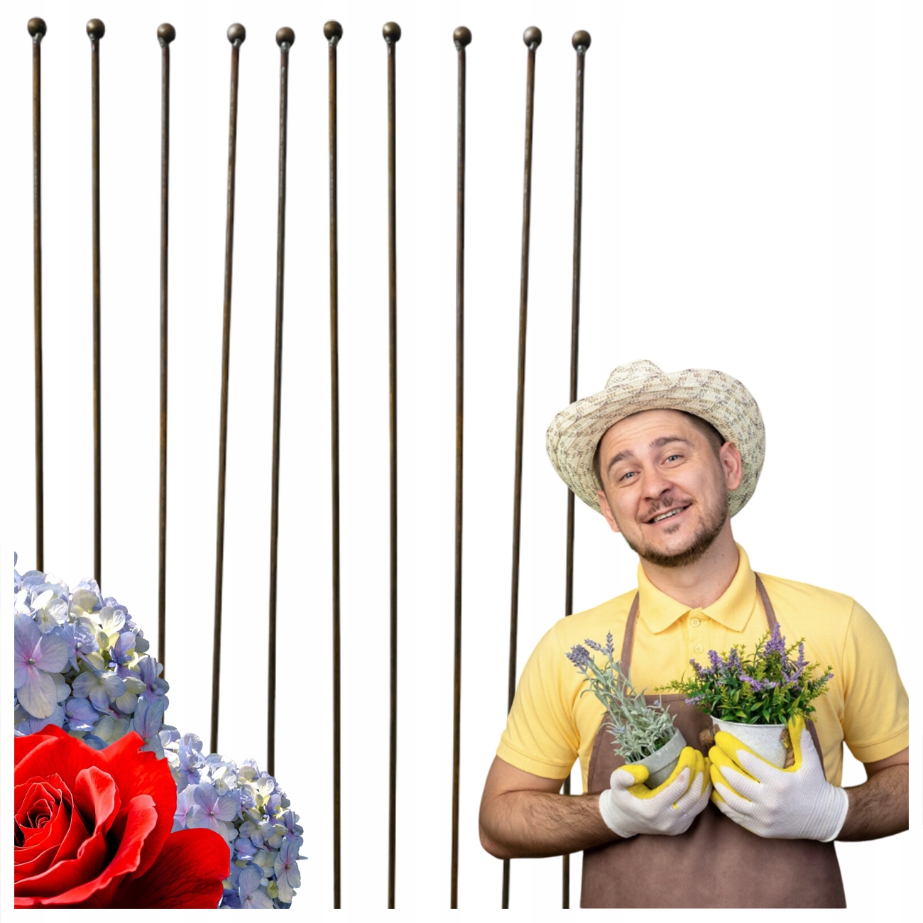 PALIK TYCZKA DO ROŚLIN doniczkowych RÓŻ POMIDORÓW KWIATÓW METALOWA PODPORA