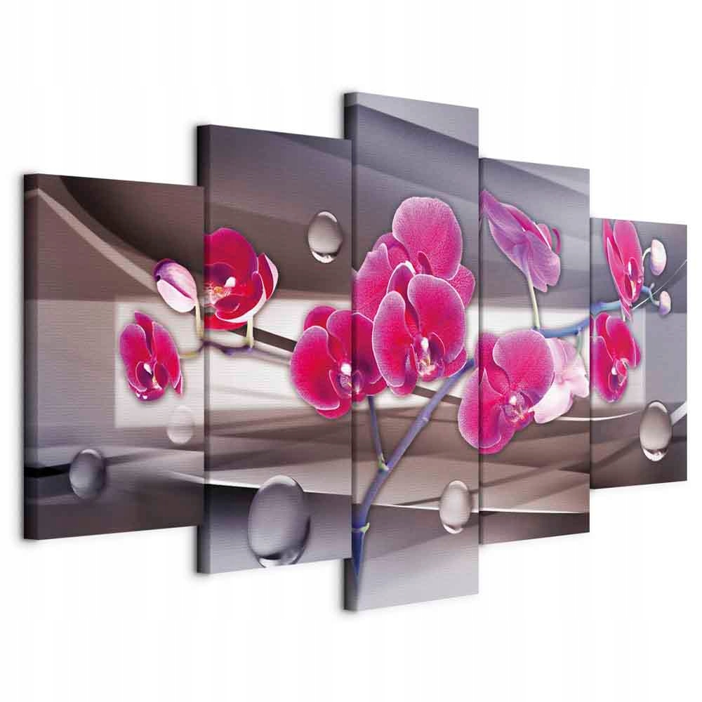 Obraz 5cz Květina Orchidej Orchidej Růžová Asbtrakce Moderní XXL 200x100