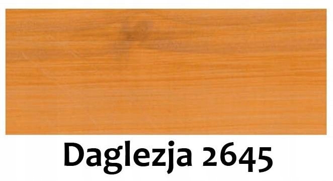 Remmers Olej na terasy a záhradný nábytok, ploty 5L Daglezia