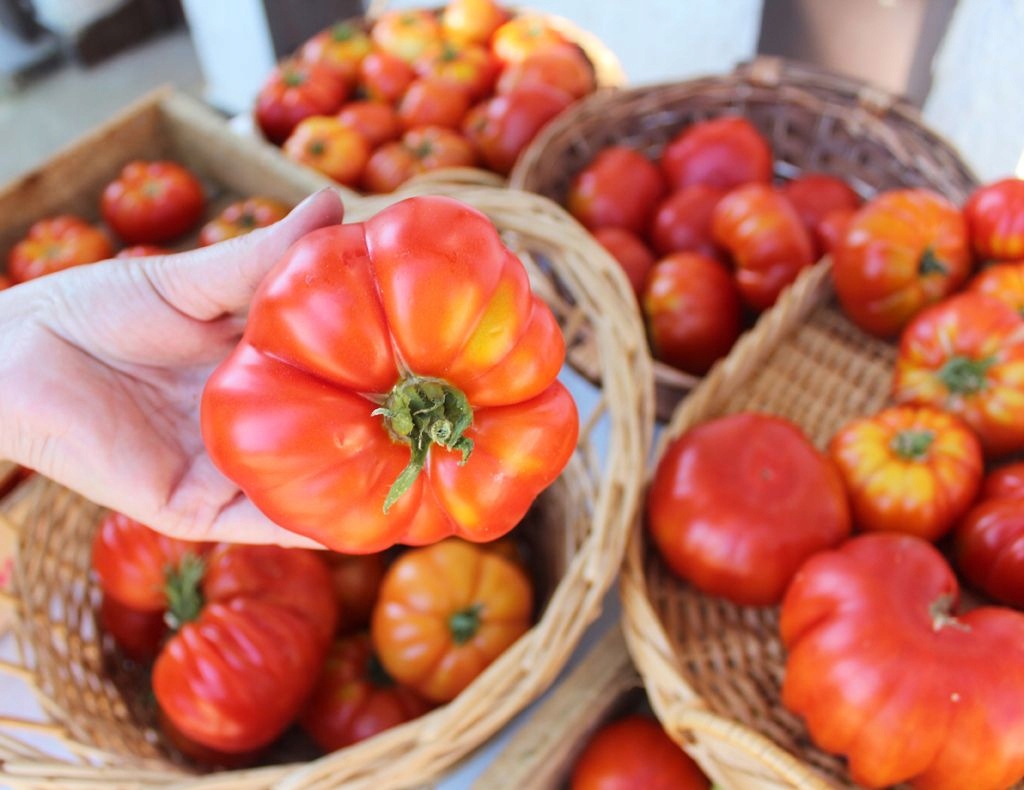 Biohumus NAWÓZ do pomidorów papryki 5L EKO BIO Pojemność 5 l