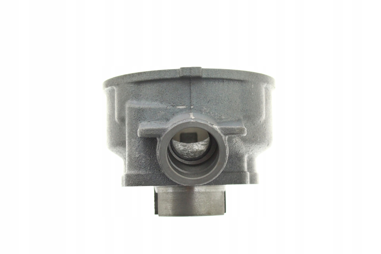 CYLINDER ŻELIWNY RMS APRILIA RS YAMAHA TZR MINARELLI AM6 40,3 MM 2T Producent WZMOTO