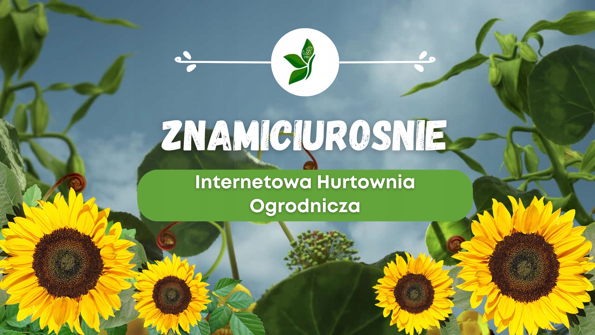 SUBSTRAL NAWÓZ PAŁECZKI DO ROŚLIN KWITNĄCYCH 30SZT Forma płyn