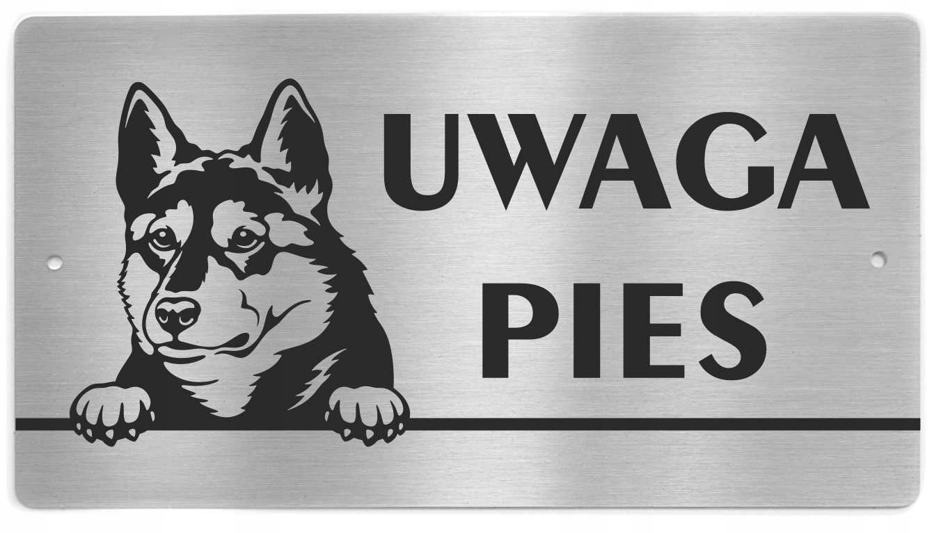

Tabliczka Uwaga Pies Łajka Zachodniosyberyjska